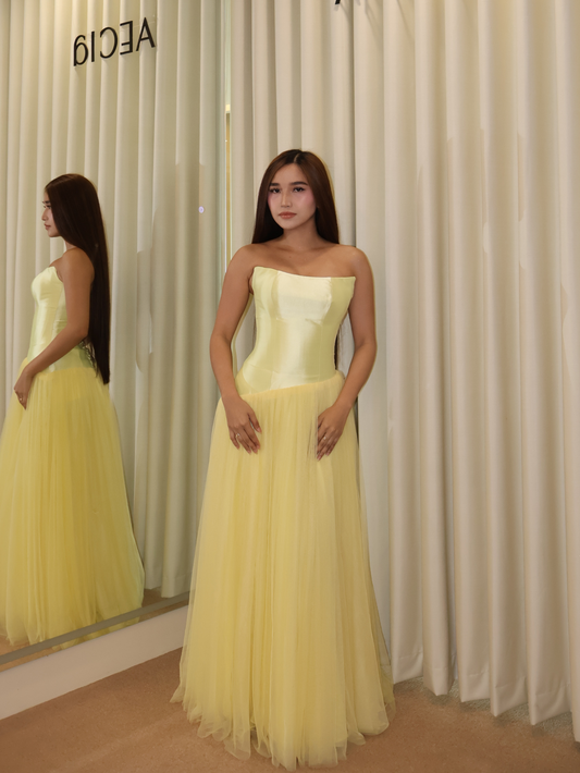 Brixie Corset Tulle Gown